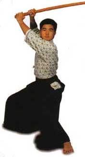 Kendo Jacket (Shiro Musashi)